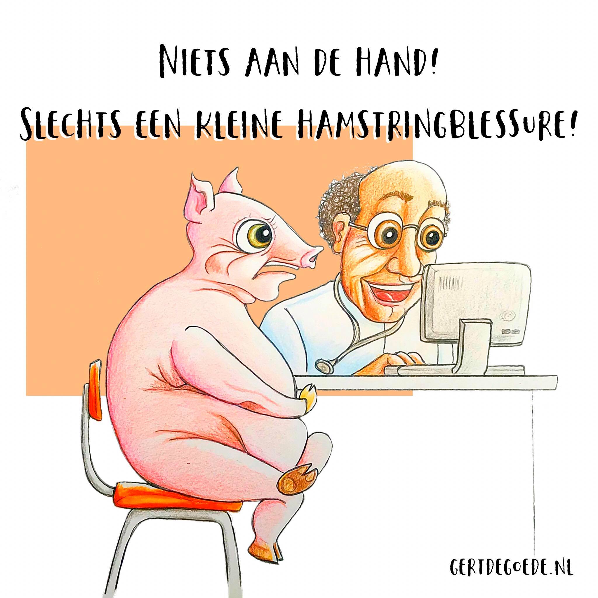 Niets aan de hand! Slechts een kleine HAMSTRING BLESSURE varken pig pork schwein cochon doctor dokter  #illustration #illustrator #illustratie #illustrazione, #illustrazioni #cartoon #comic #artwork #cheerful #illo #artwork #cheerful #快活 插图 #gertdegoede #art #искусство #メリー  #喜び  #u笑い  #遊び   #イラスト   #いい絵  #хорошая #картинка  #иллюстрация  توضيح# #ilustración #ілюстрацыя