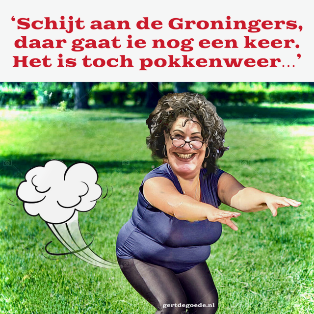 Gert de Goede illustrator schrijver cartoonist kunstenaar vrolijk Groningen gasboringen gas Caroline van den Plas schijt pokkenweer