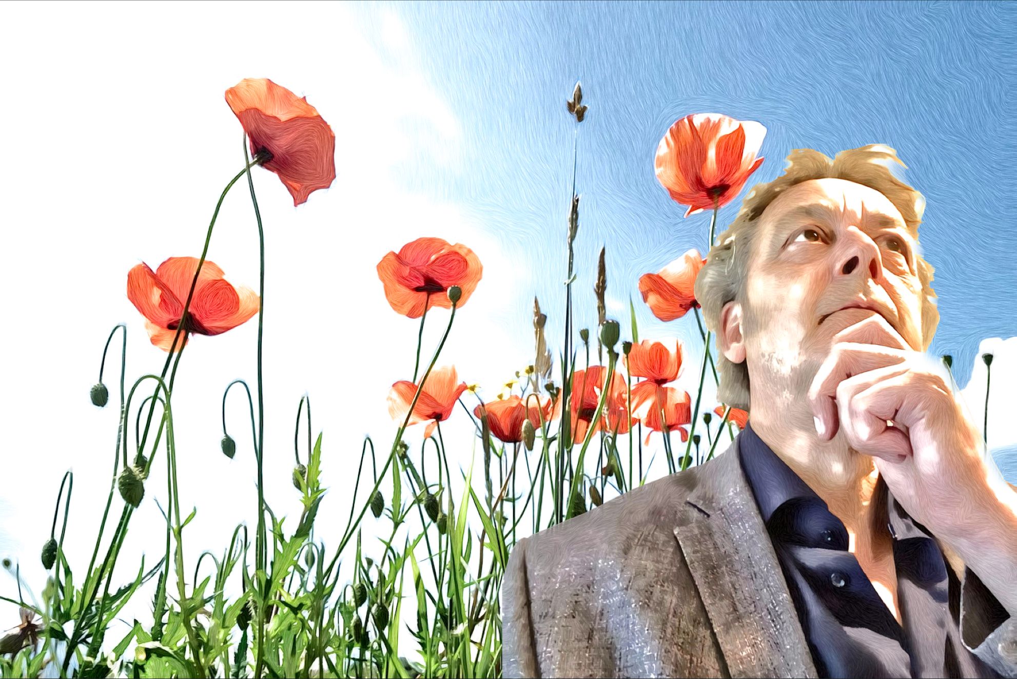 Gert de Goede klaproos gedicht vers Uden schrijver gedichten poppy dichter verder landschap kunst 