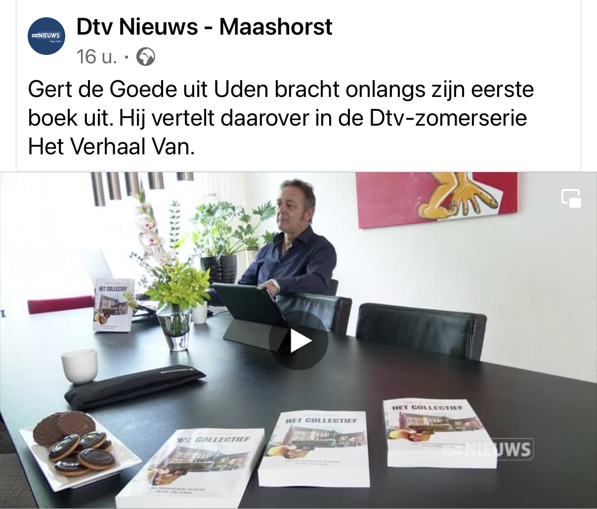 Gert de Goede Dtv nieuws Uden Maashorst boek roman thriller Nikkie de Jager het Collectief fictie verhaal interview zomergasten zomergast zomer verhalen book novel artist cartoon cartoonist kunstenaar kunst schrijver tekenaar Anton Pick kapper van de Water